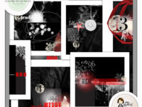 New in my Studio :: 11.8.13