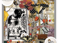 New Release :: Fall Blend