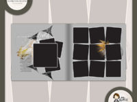 My Favorite & My Best :: Templates