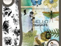 Last Chance & New Products!