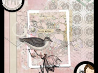 NSD 2019 DSS Blog Hop