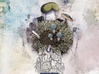 Bricolage Monthly June 2020