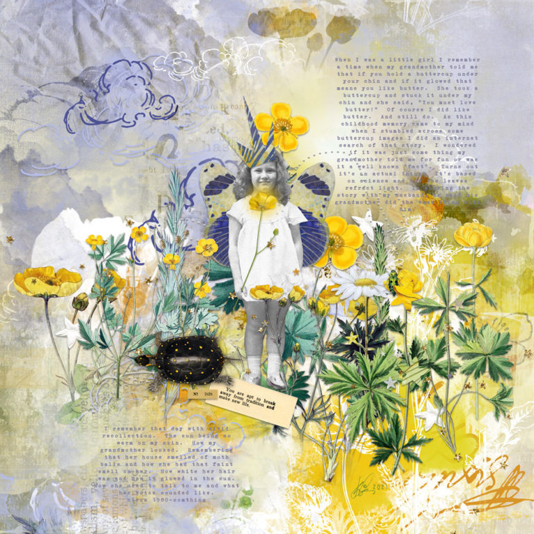 The Buttercup by Bill Scott The Buttercup by Bill Scott